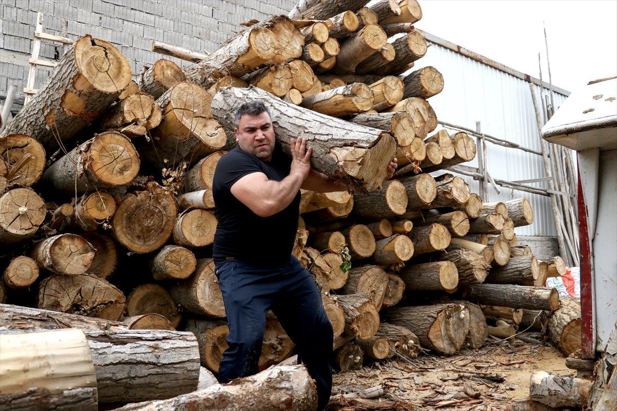 Milli sporcu tomruk taşıyarak şampiyonaya hazırlanıyor