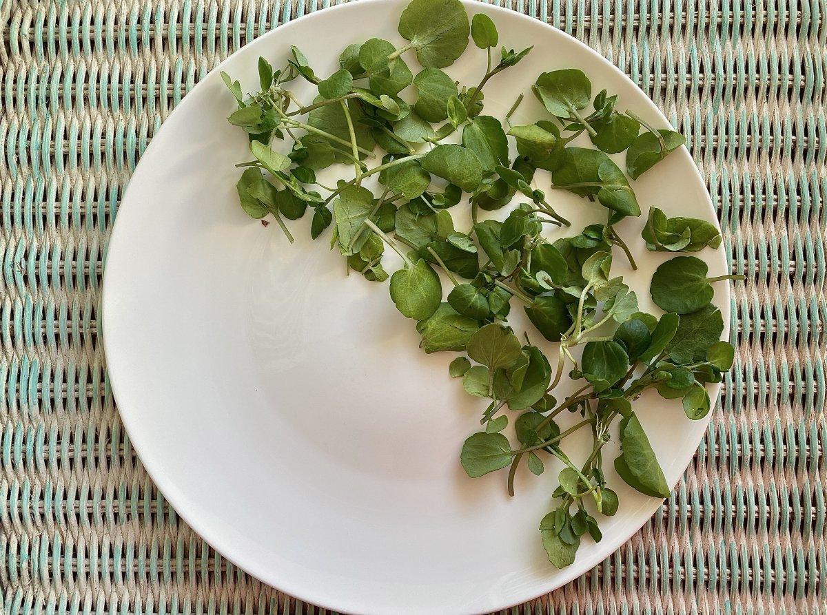 Su teresinin 10 inanılmaz faydası