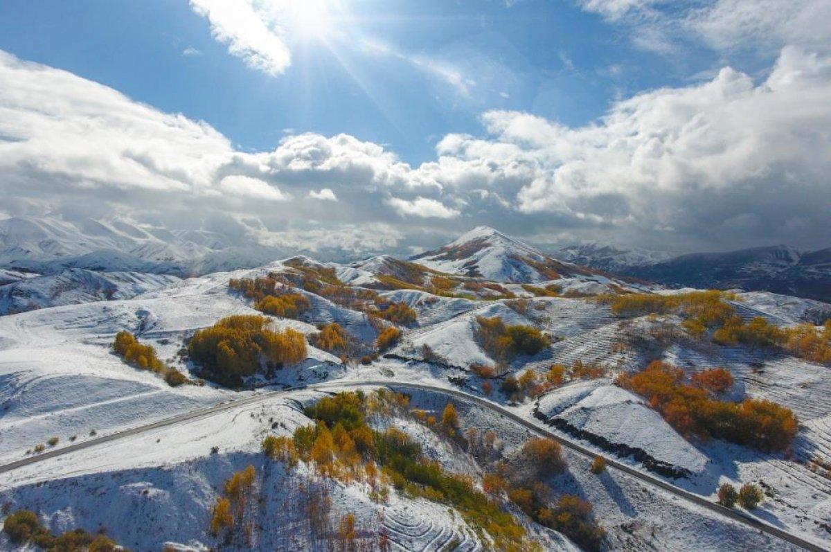 Erzurum ormanlarında görsel şölen