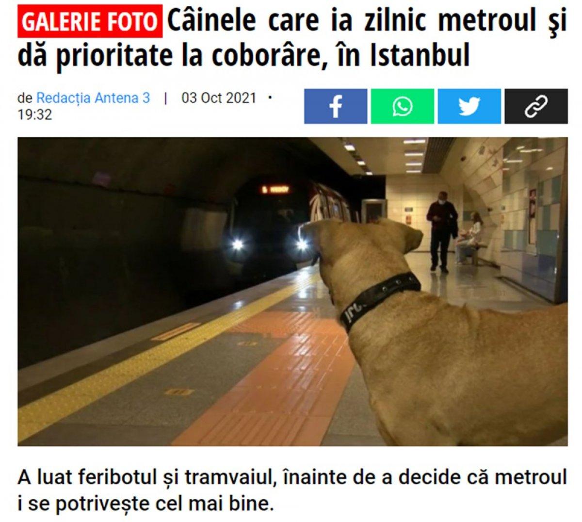 Dünya Boji'yi konuşuyor