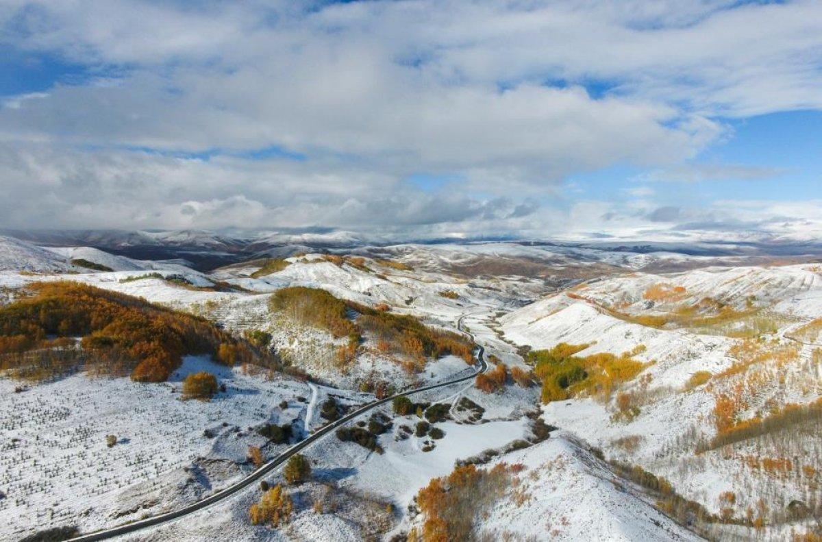 Erzurum ormanlarında görsel şölen