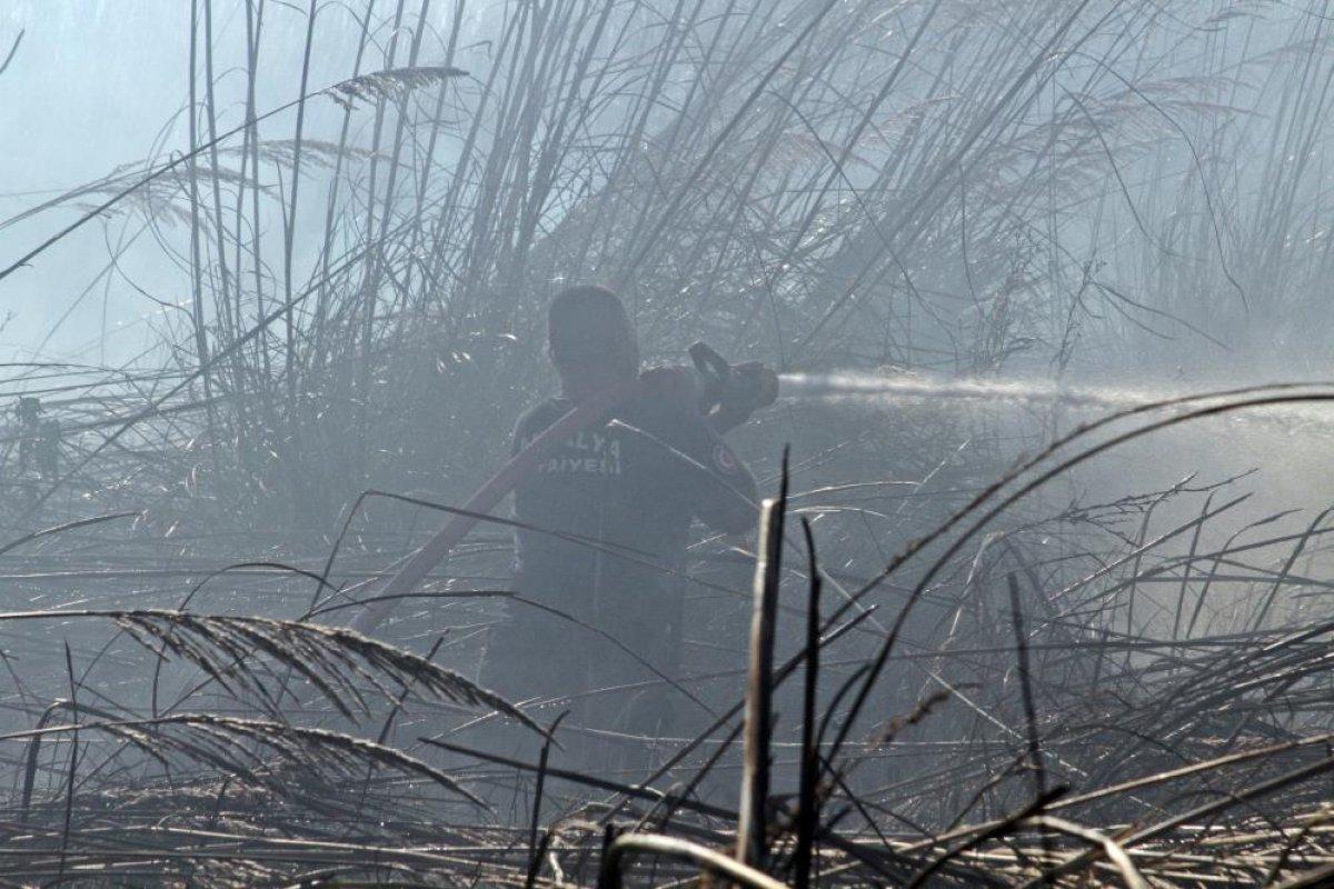 Antalya'da sazlık alanda çıkan yangın kontrol altına alındı