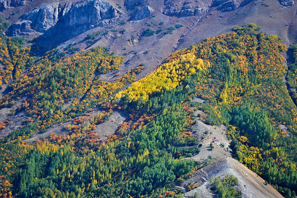 Tunceli'nin Salördek Ormanları'nda sonbahar renkleri