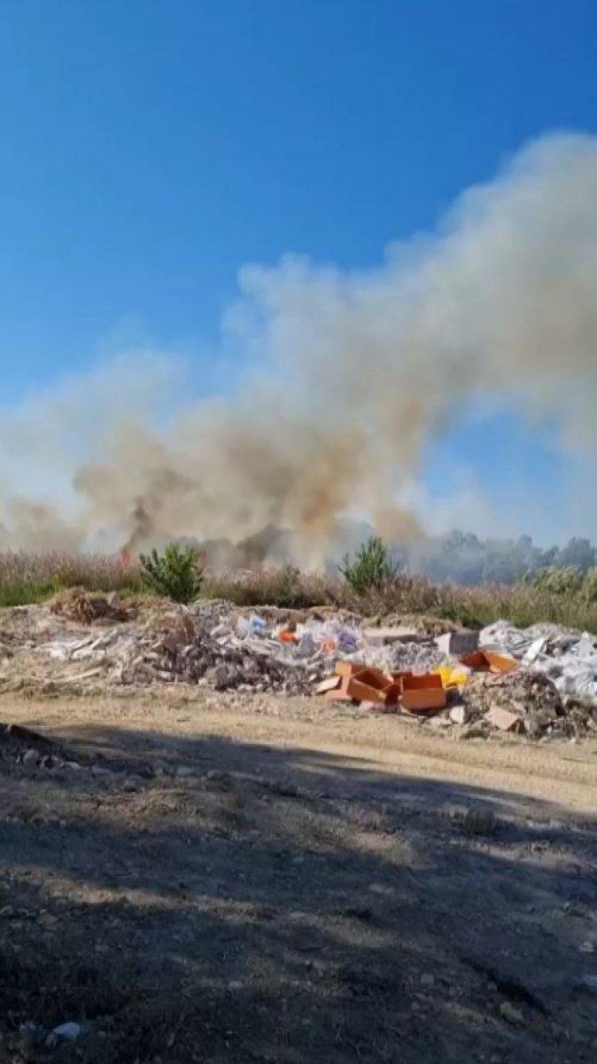 Antalya'da sazlık alanda çıkan yangın kontrol altına alındı