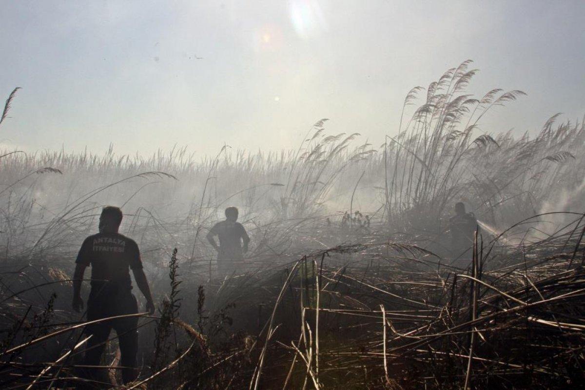 Antalya'da sazlık alanda çıkan yangın kontrol altına alındı
