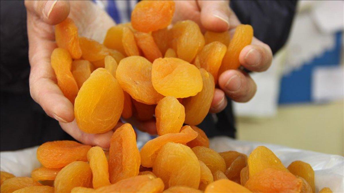 Kayısının Türkiye ekonomisindeki yeri