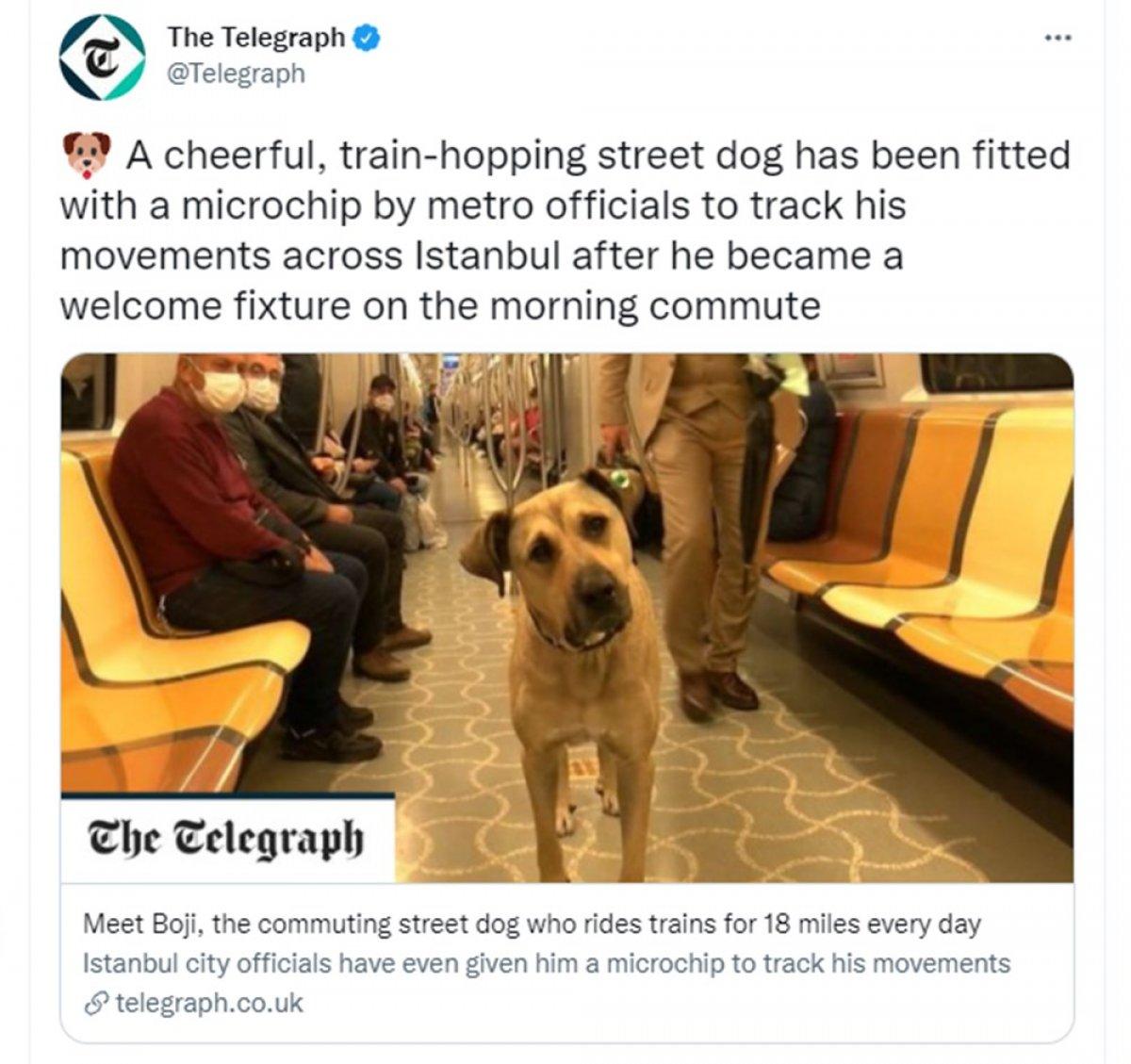 Dünya Boji'yi konuşuyor