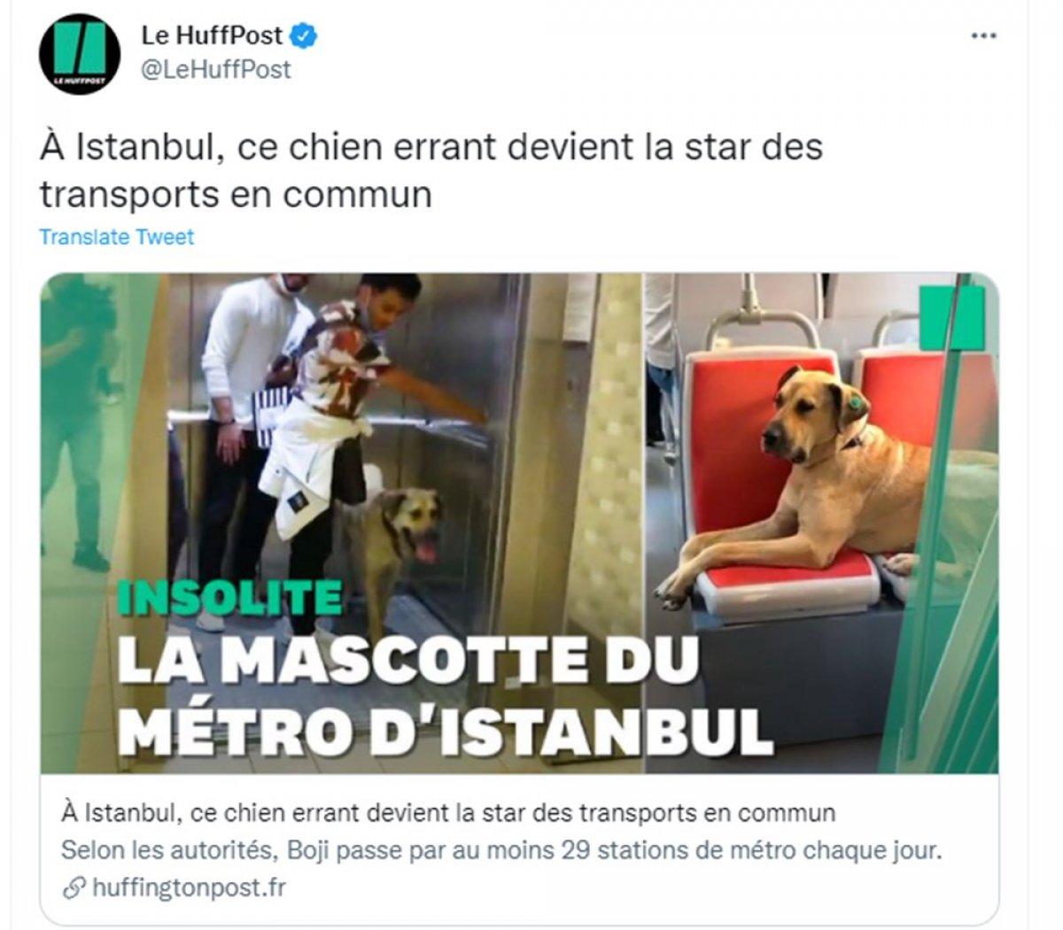 Dünya Boji'yi konuşuyor