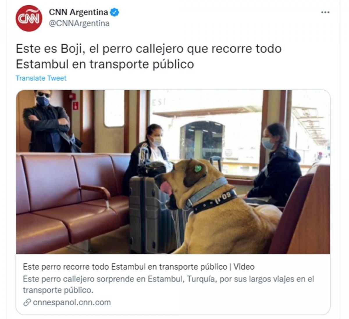 Dünya Boji'yi konuşuyor