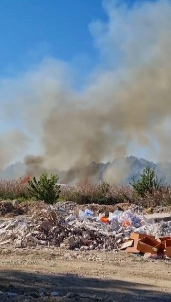 Antalya'da sazlık alanda çıkan yangın kontrol altına alındı
