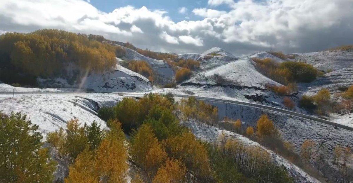 Erzurum ormanlarında görsel şölen