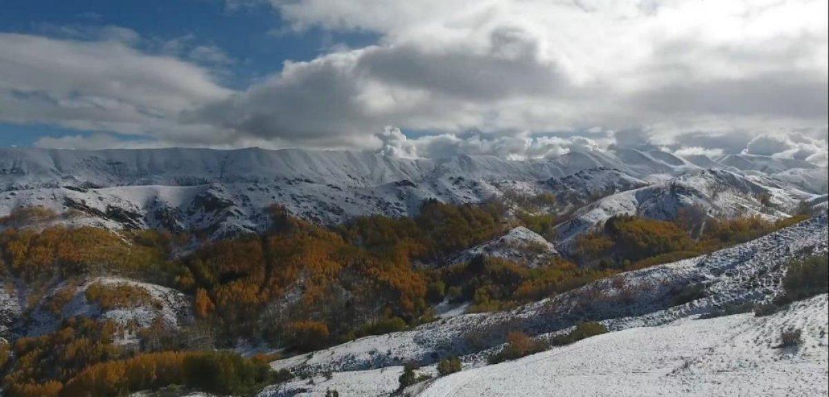 Erzurum ormanlarında görsel şölen