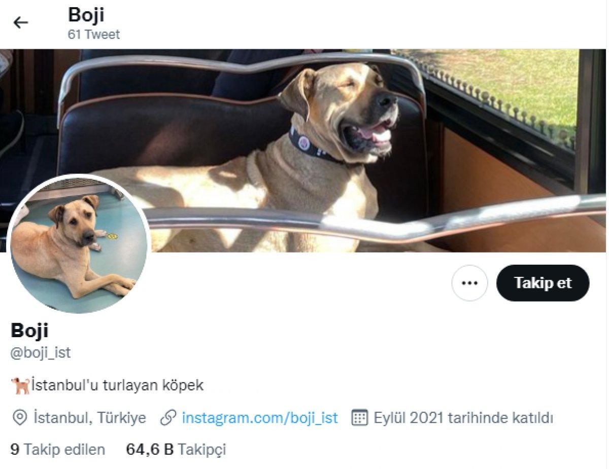 Dünya Boji'yi konuşuyor