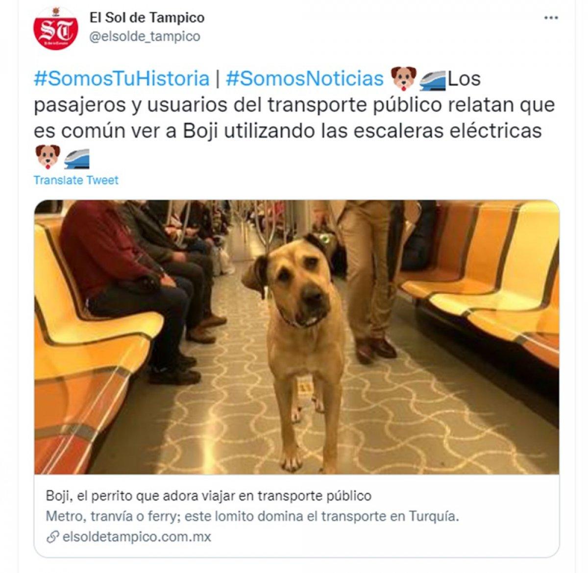 Dünya Boji'yi konuşuyor