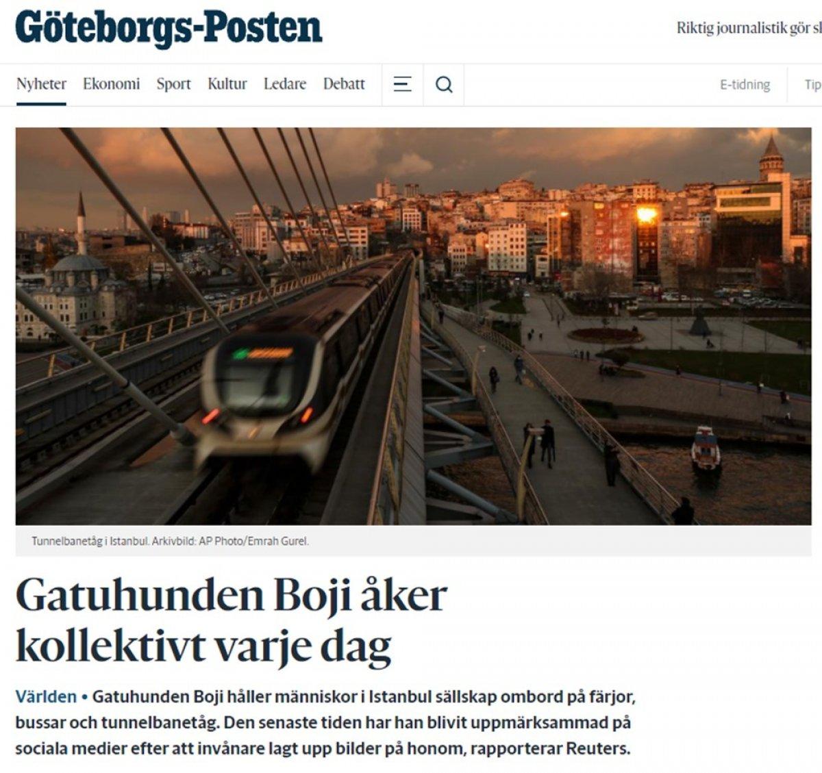 Dünya Boji'yi konuşuyor