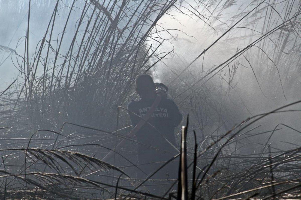 Antalya'da sazlık alanda çıkan yangın kontrol altına alındı