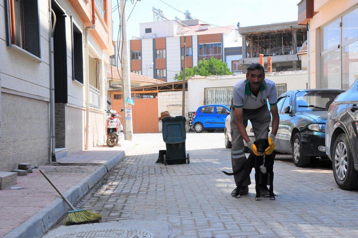 Manisa’da, temizlik işçisi ile sokak köpeğinin samimi dostluğu