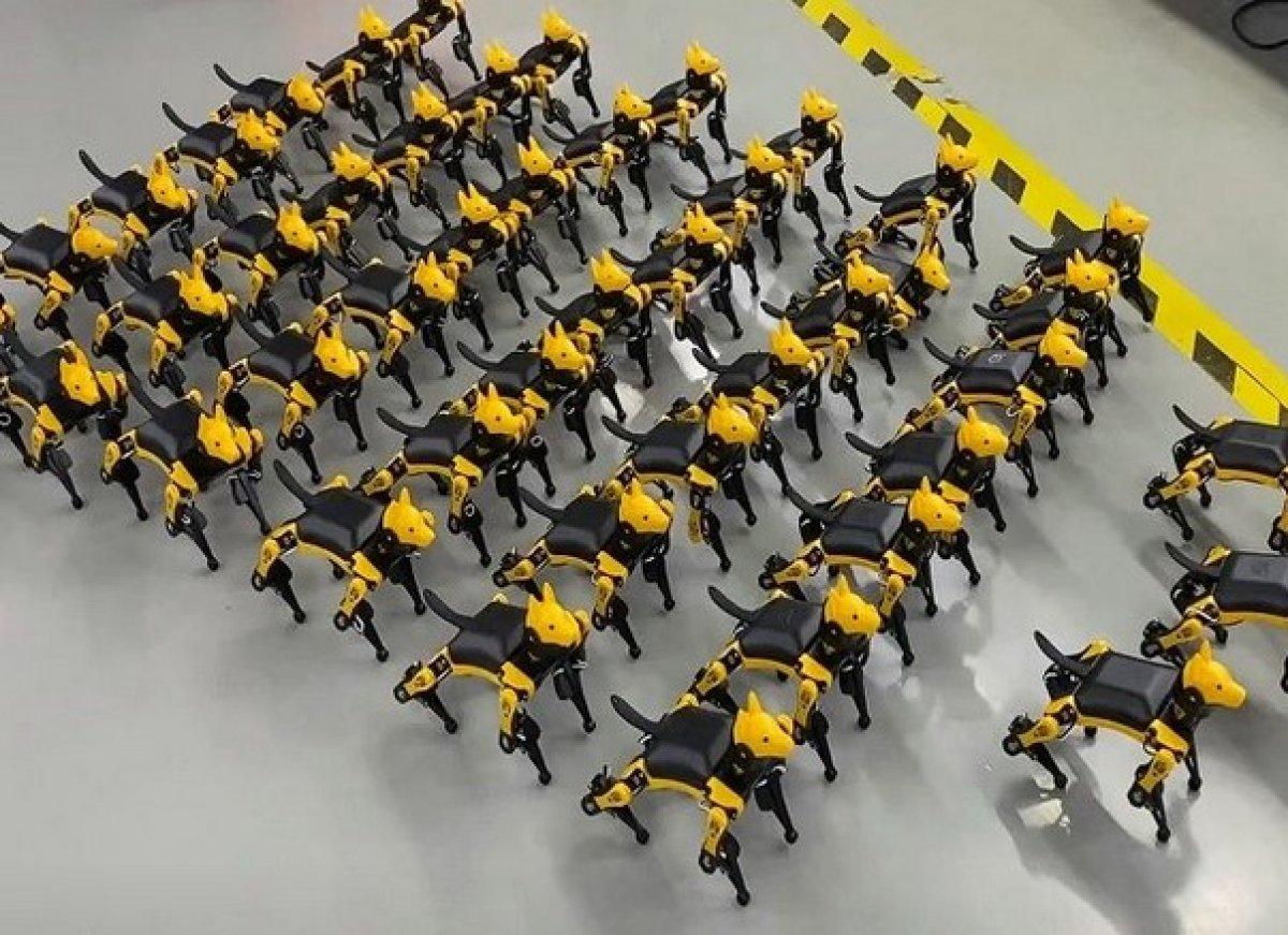 Çinliler artık robot evcil hayvanları tercih ediyor