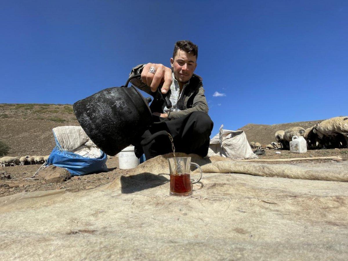 Göçerlerin Bingöl'den Şanlıurfa'ya zorlu dönüş yolculuğu