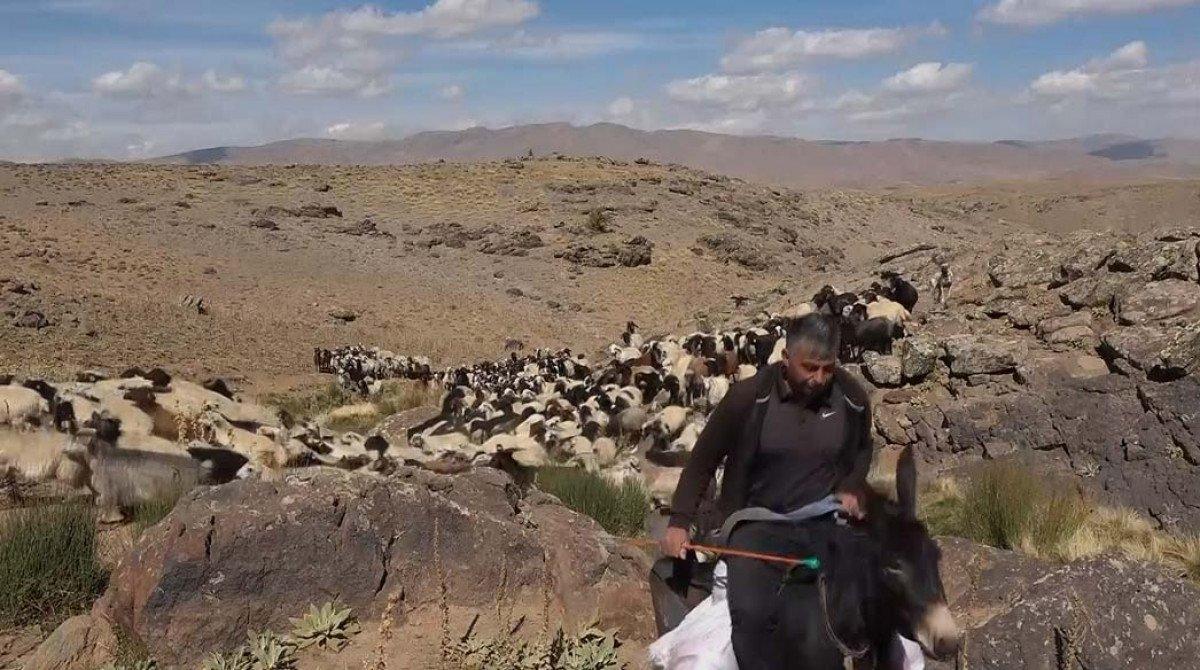 Van'da kuraklıktan etkilenen besicilerin dönüşü başladı