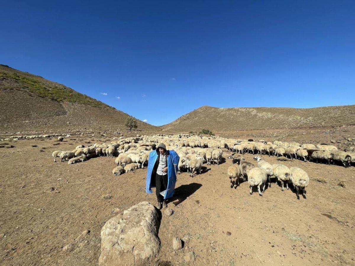 Göçerlerin Bingöl'den Şanlıurfa'ya zorlu dönüş yolculuğu