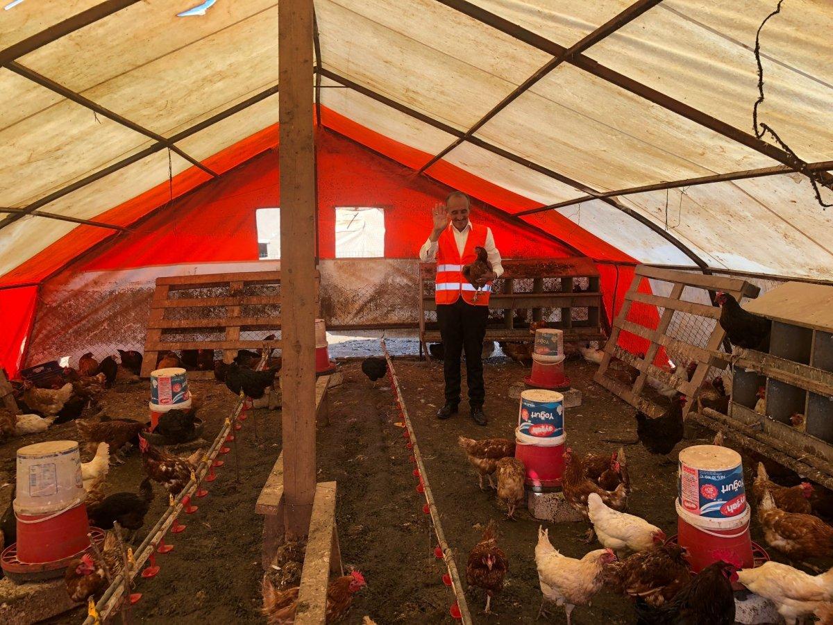 İstanbul'da tavukların verimini müzikle arttırdı