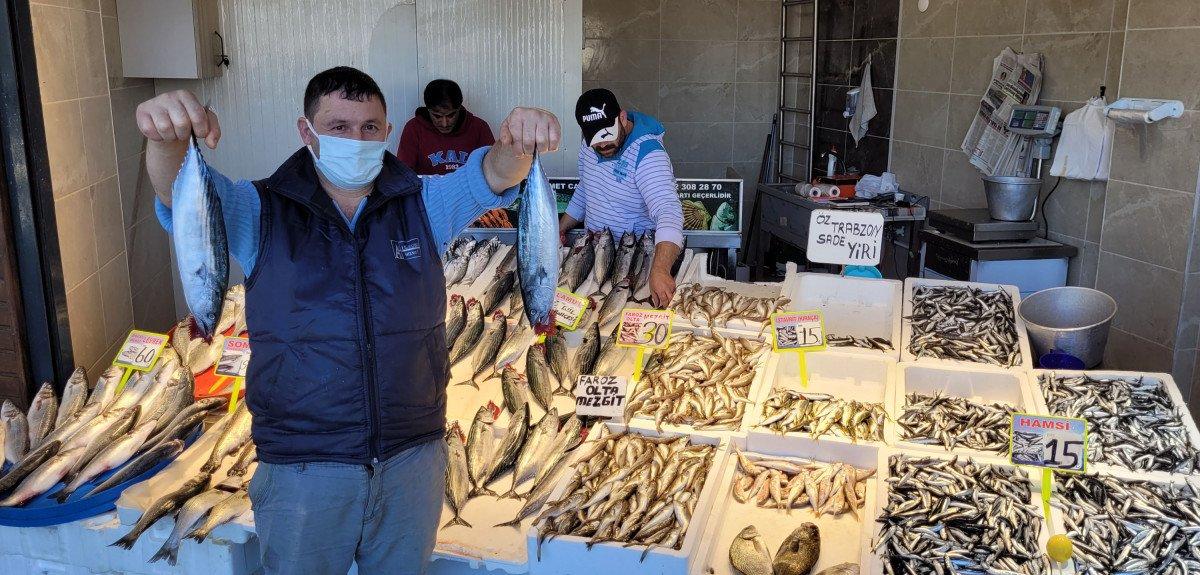 Karadeniz'de havalar soğudu, hamsiler tezgahları doldurdu