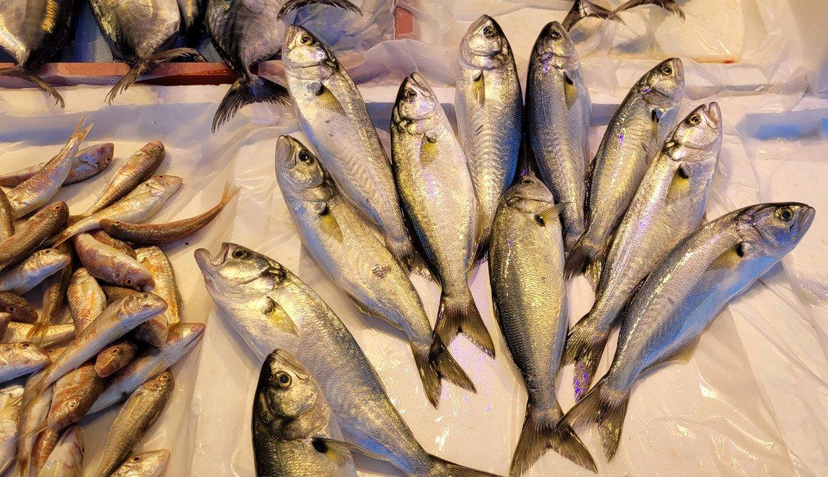 Karadeniz'de havalar soğudu, hamsiler tezgahları doldurdu