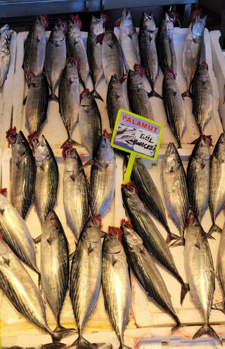 Karadeniz'de havalar soğudu, hamsiler tezgahları doldurdu