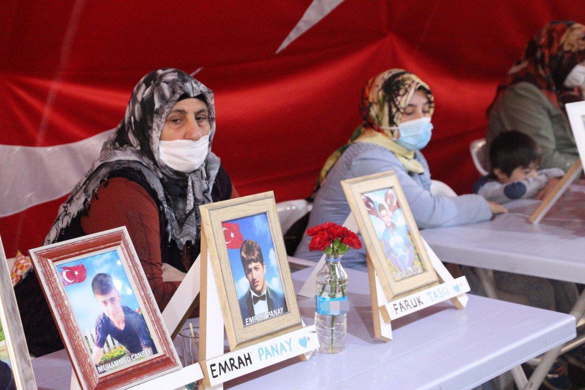 Diyarbakır annesi Güzide Demir: Oğlumu HDP aldı PKK’ya verdi