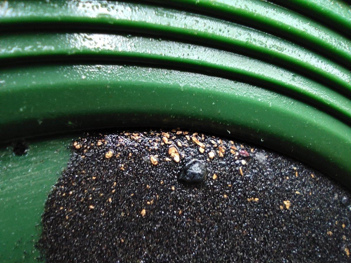 Bursa'daki altın avcıları, akan dereden toprak eleyerek servet biriktiriyor