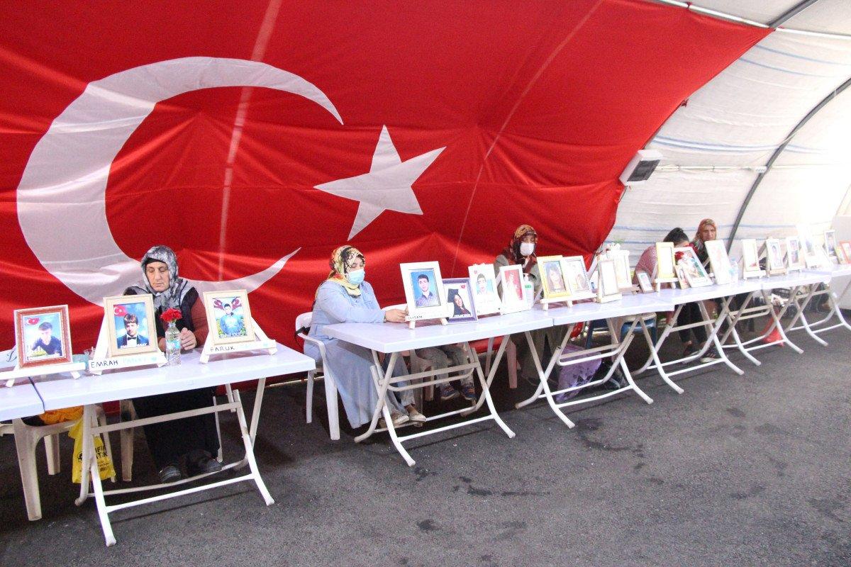Diyarbakır annesi Güzide Demir: Oğlumu HDP aldı PKK’ya verdi