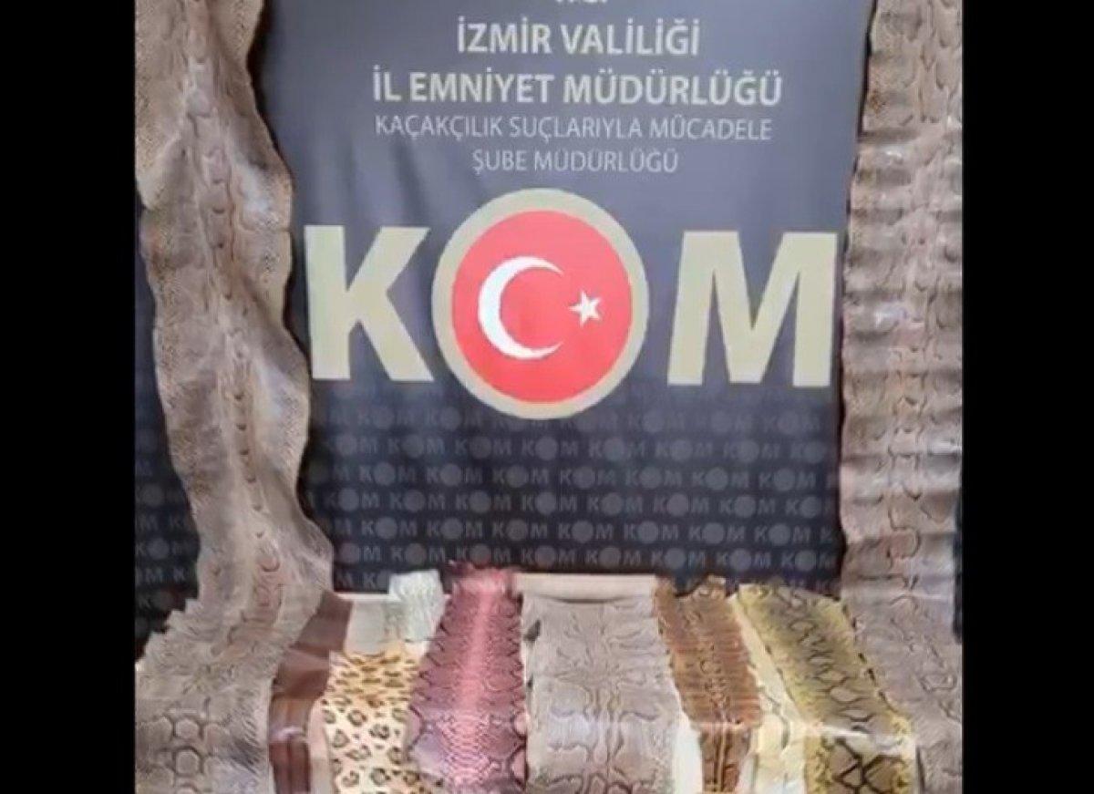 İzmir’de, kaçak yılan derileri ele geçirildi