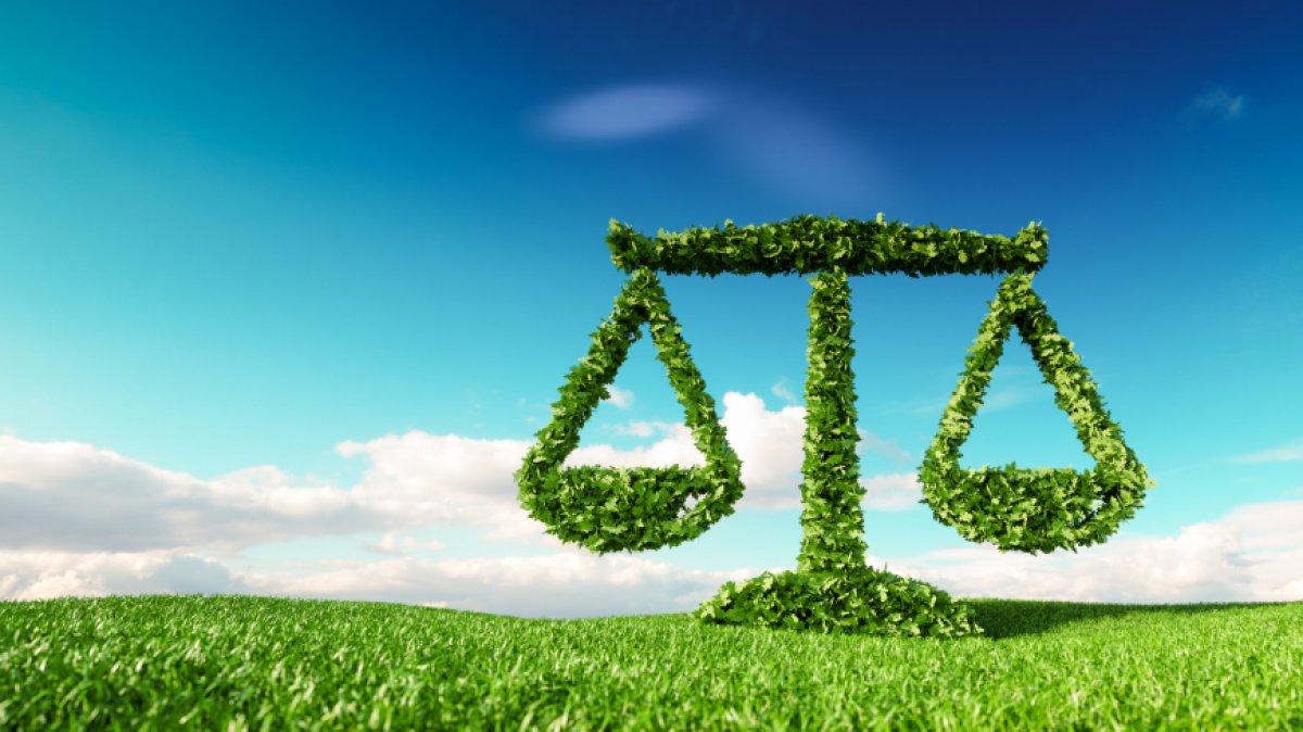 Hedef 2053: Yeşil Kalkınma Devrimi nedir