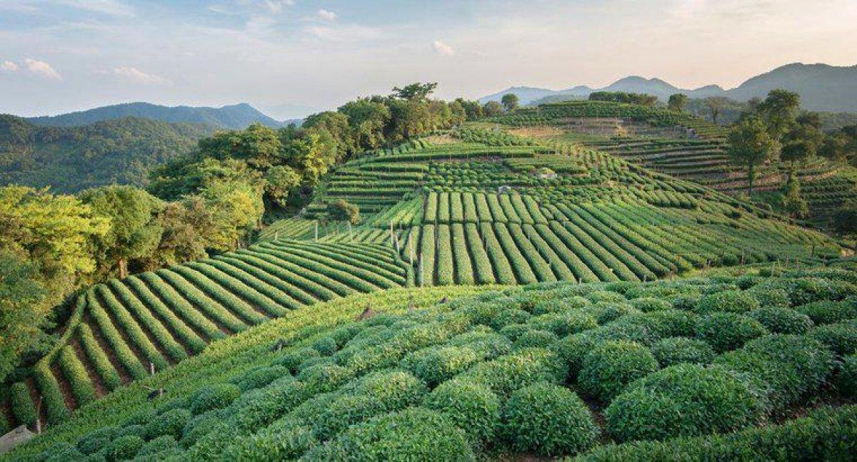 Hedef 2053: Yeşil Kalkınma Devrimi nedir