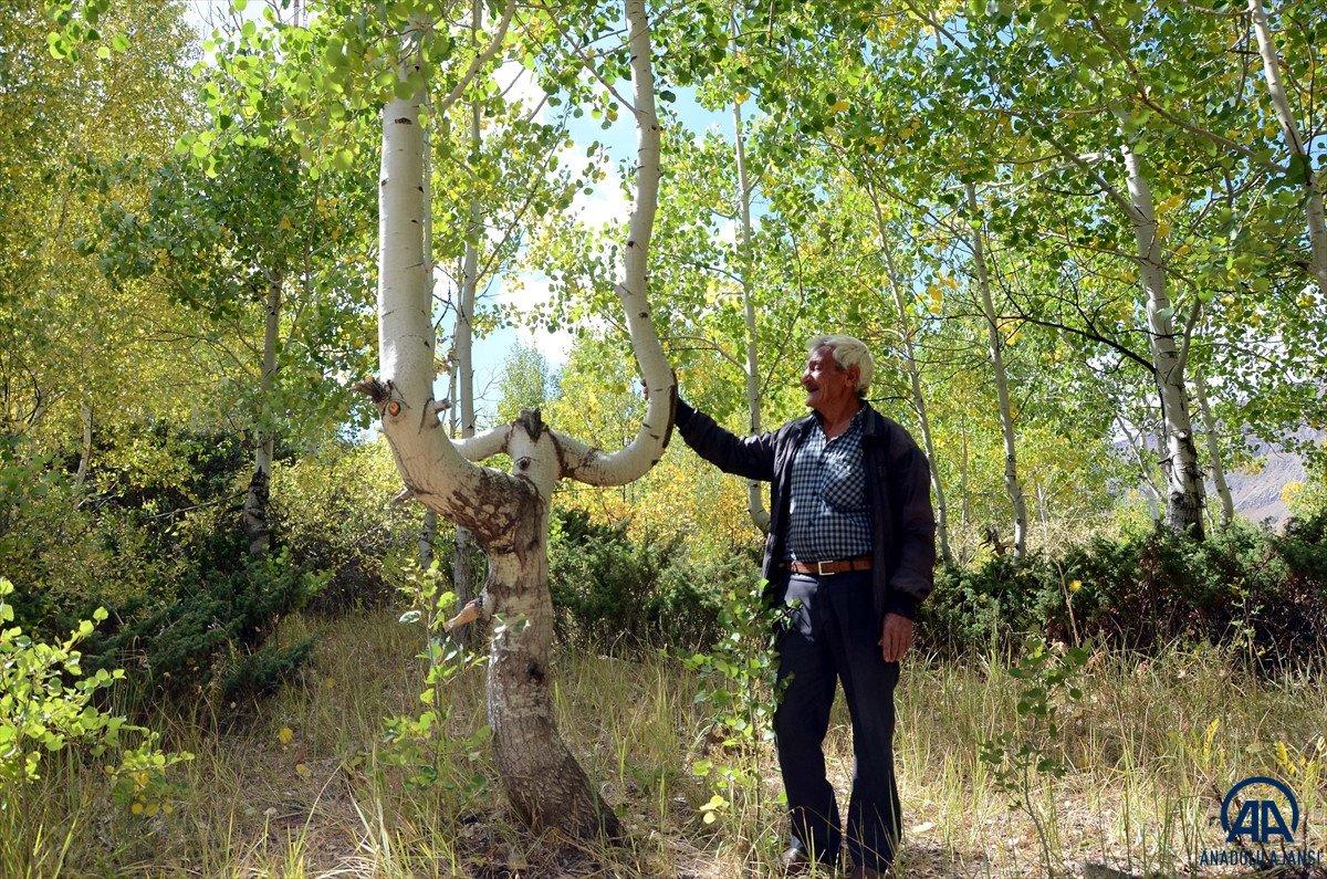 Nemrut'ta 48 yıldır gönüllü bekçilik yapıyor