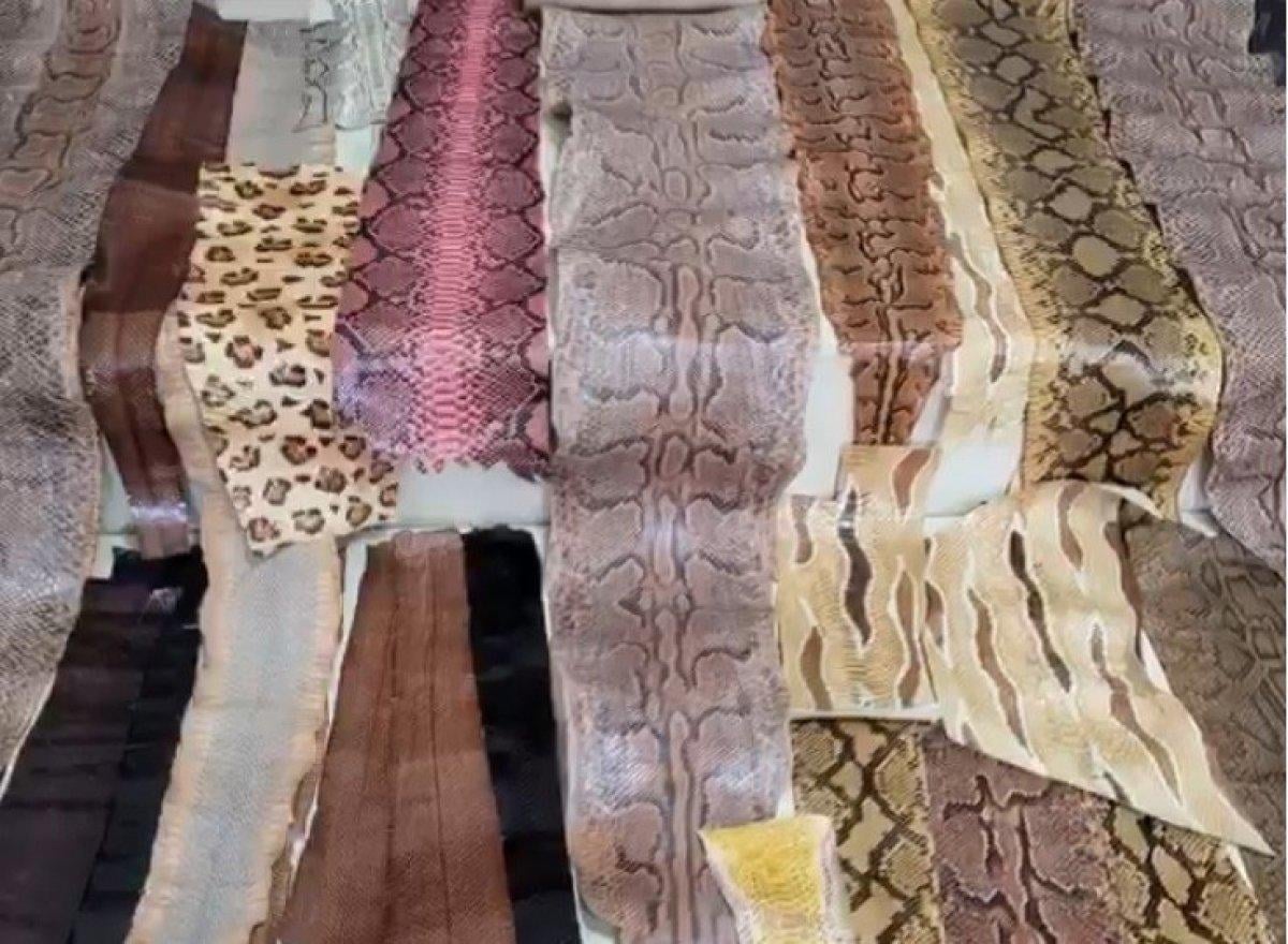 İzmir’de, kaçak yılan derileri ele geçirildi