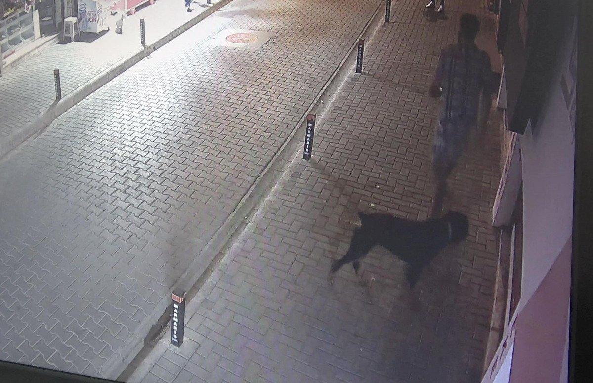 Muğla’da, dükkanın önündeki mama kaplarını çaldı