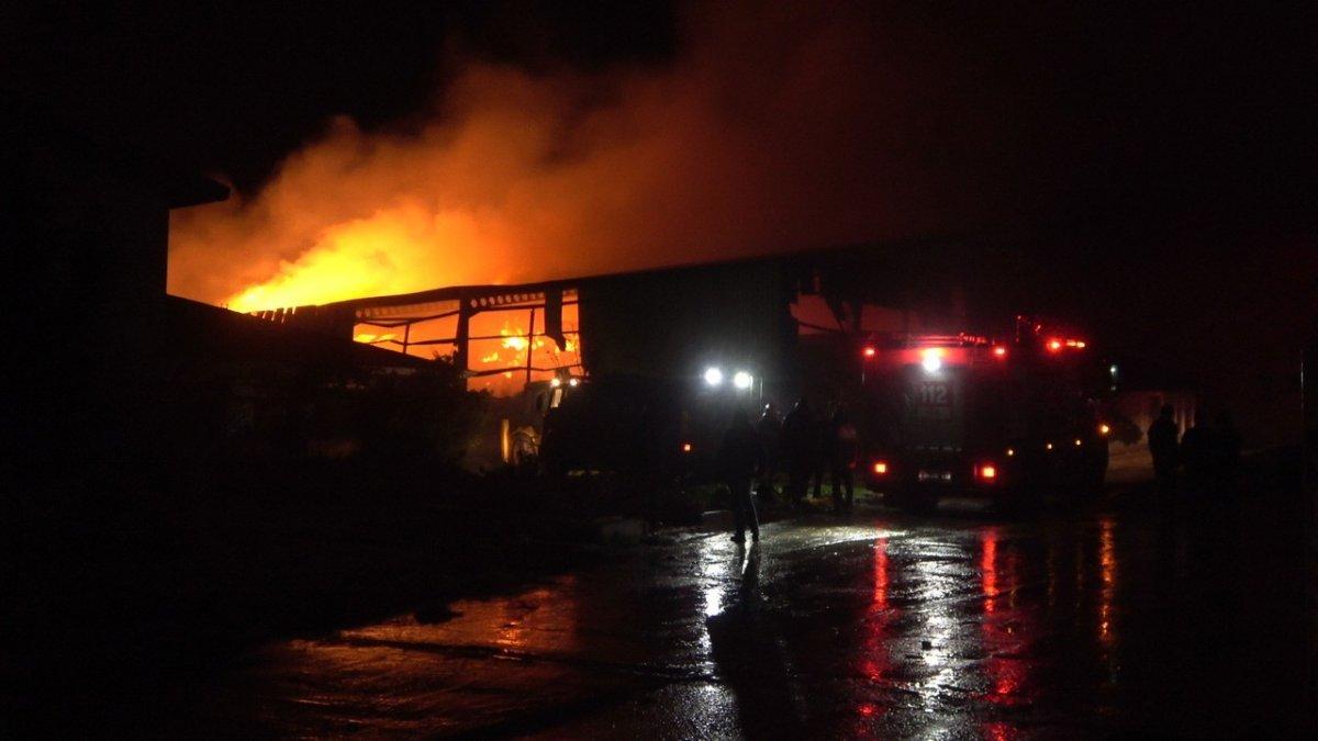 Kırklareli’nde hayvan çiftliğinde yangın çıktı