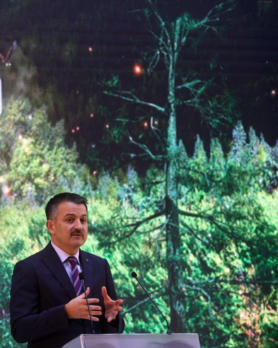 Bekir Pakdemirli: Yanan alanları tekrar ağaçlandıracağız