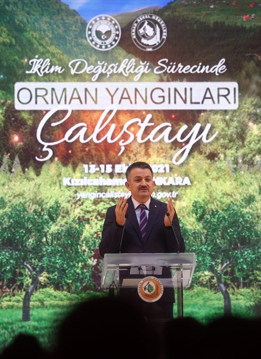 Bekir Pakdemirli: Yanan alanları tekrar ağaçlandıracağız