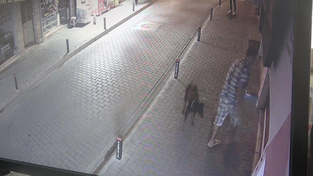 Muğla’da, dükkanın önündeki mama kaplarını çaldı