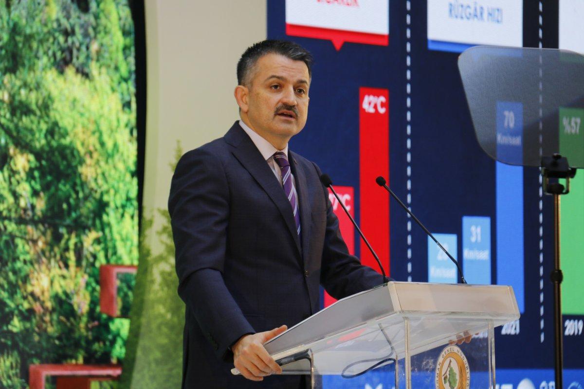 Bekir Pakdemirli: Yanan alanları tekrar ağaçlandıracağız