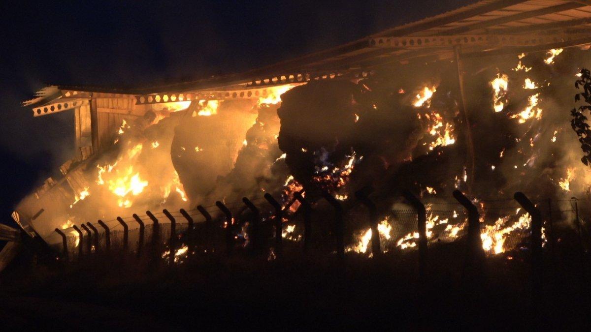 Kırklareli’nde hayvan çiftliğinde yangın çıktı
