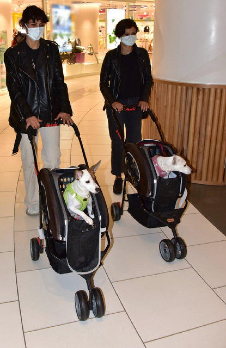 Asena Tuğal: Köpeklerim çocuklarım gibi