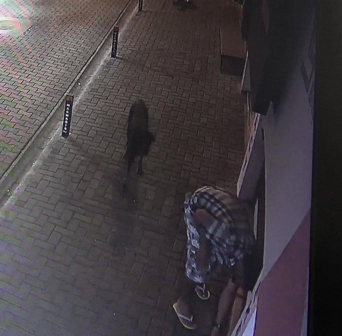 Muğla’da, dükkanın önündeki mama kaplarını çaldı