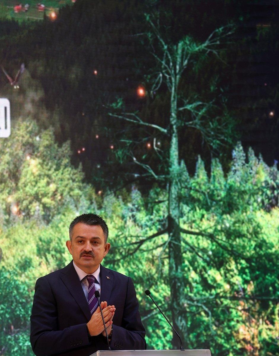 Bekir Pakdemirli: Yanan alanları tekrar ağaçlandıracağız