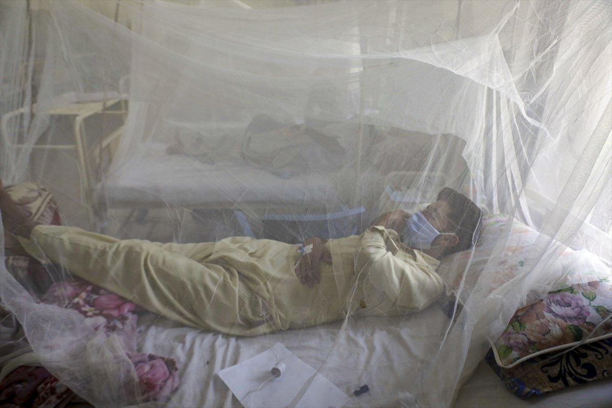 Pakistan'da dang humması vakaları arttı