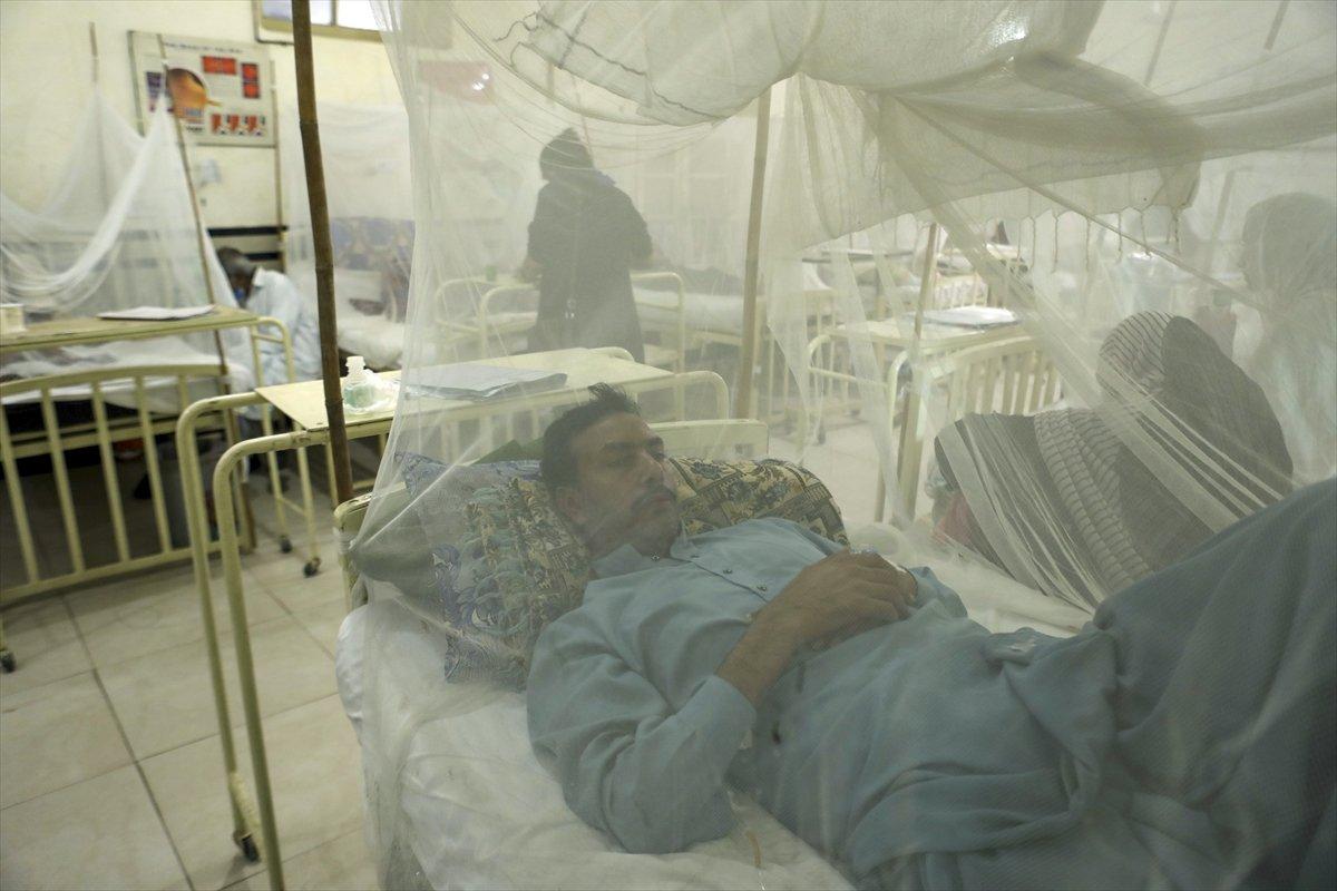 Pakistan'da dang humması vakaları arttı