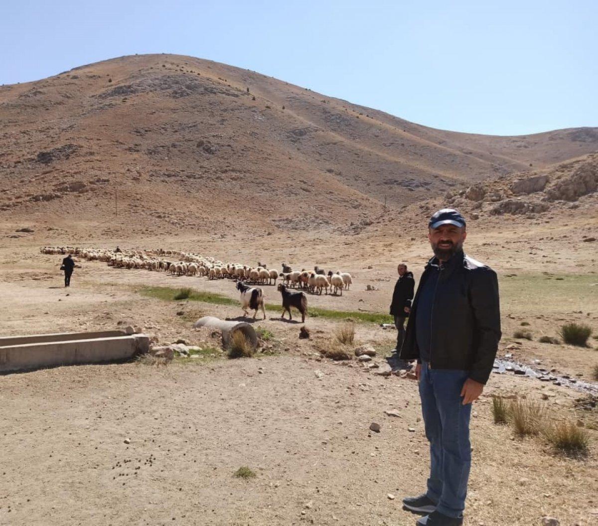 Doğu Anadolu'da çoban bile çobana kız vermeyince, üretici çoban bulamadı